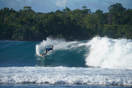 Foto d'estoc gratuïta de escena de surf, fotografia de surf