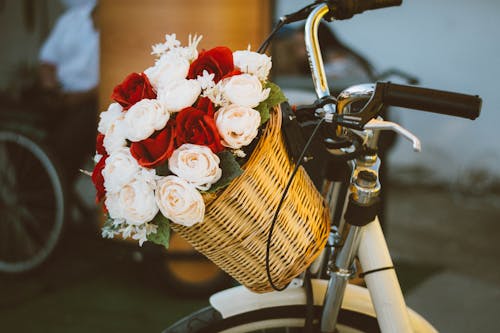 Beautiful Rose Bouquet in Basket of Bicycle