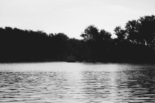 Black and White Photo of a Lake 