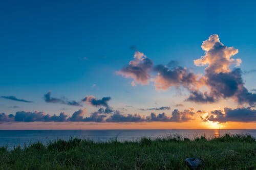 Grass on Sea Shore at Sunset