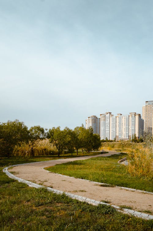 Walkway through Park in City