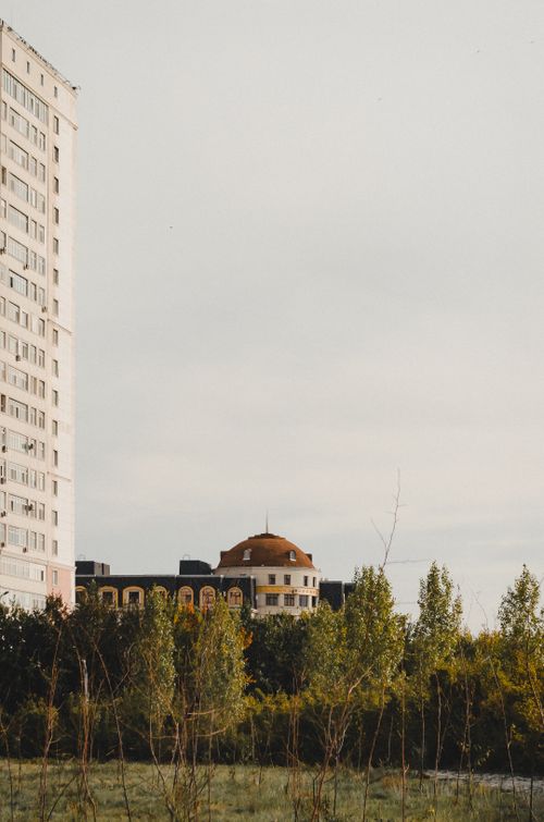 Free Tall buildings and lush trees creating a blend of urban and natural scenery. Stock Photo
