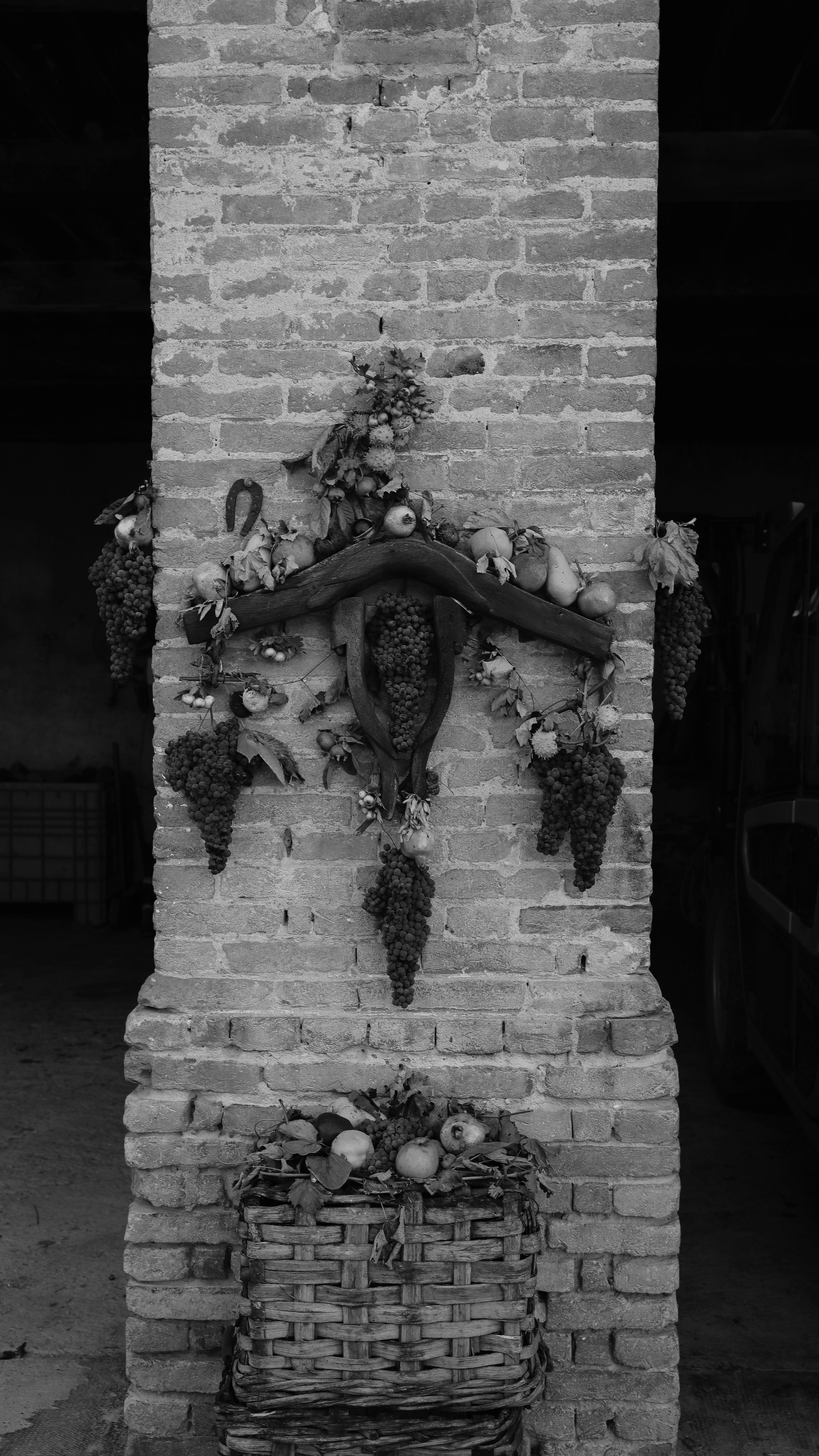 Black and white photo of apples and grapes arranged on a rustic brick wall.