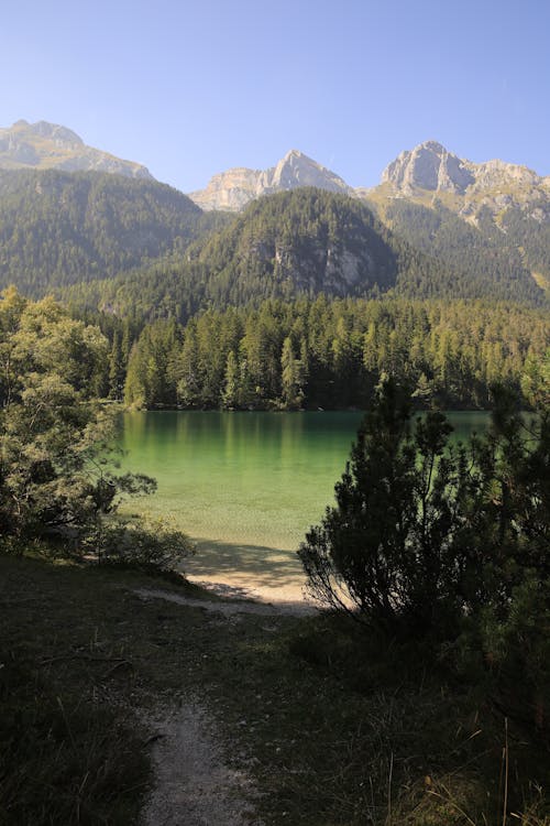 Immagine gratuita di acqua color smeraldo, estate, foresta