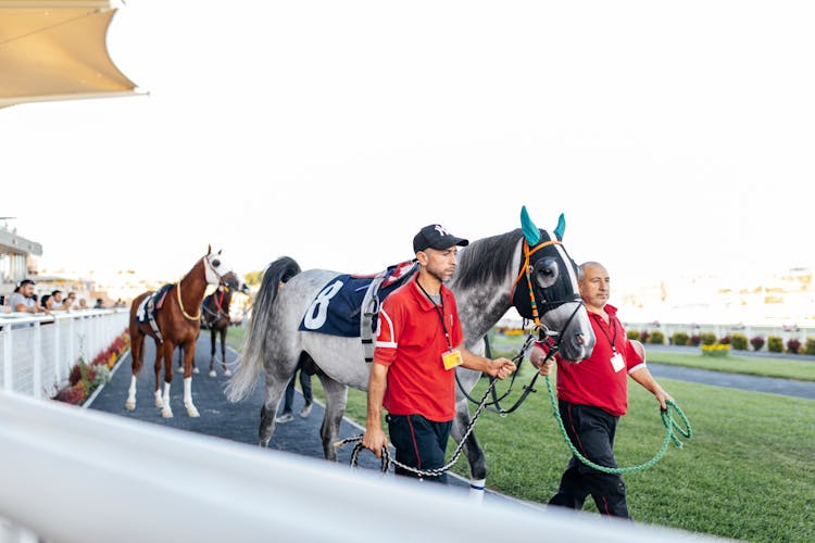 Men With Racing Horses