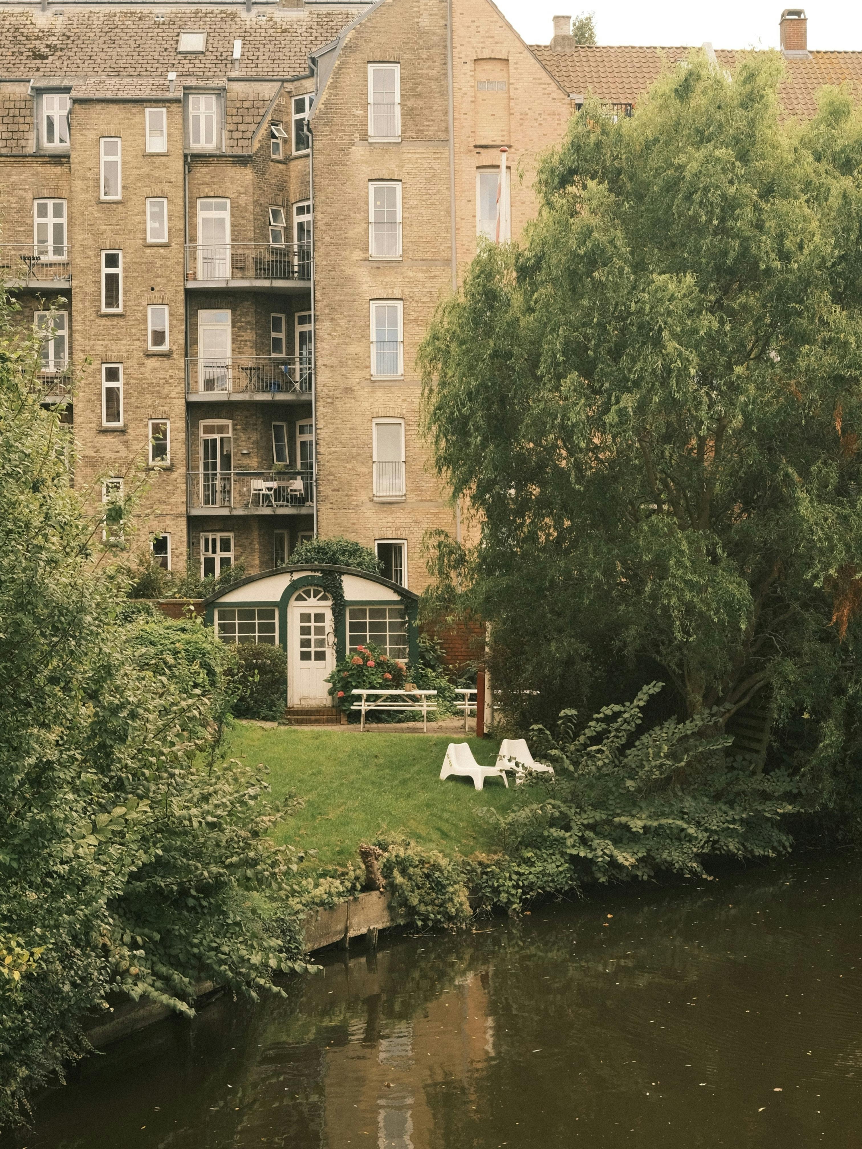 Building Your Fish Pond In Your Own Backyard