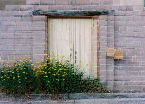 Flowers near Closed Door