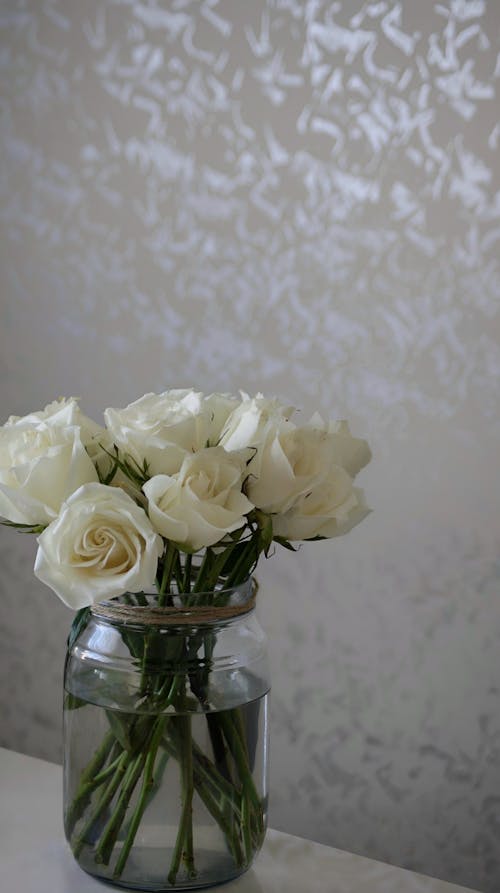 Free White Roses in a Vase Stock Photo