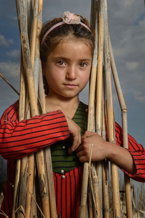 Free Captivating portrait of a young girl standing in a field, surrounded by reeds. Stock Photo