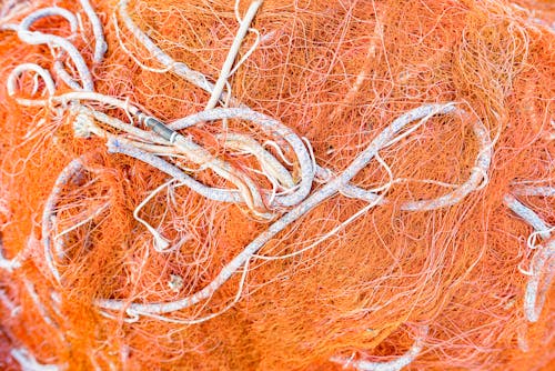 Free stock photo of close-up, color, cordage