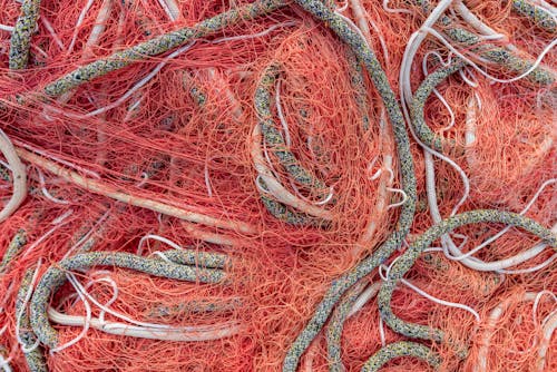 Free stock photo of close-up, color, cordage