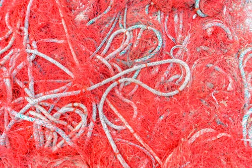 Free stock photo of close-up, color, cordage