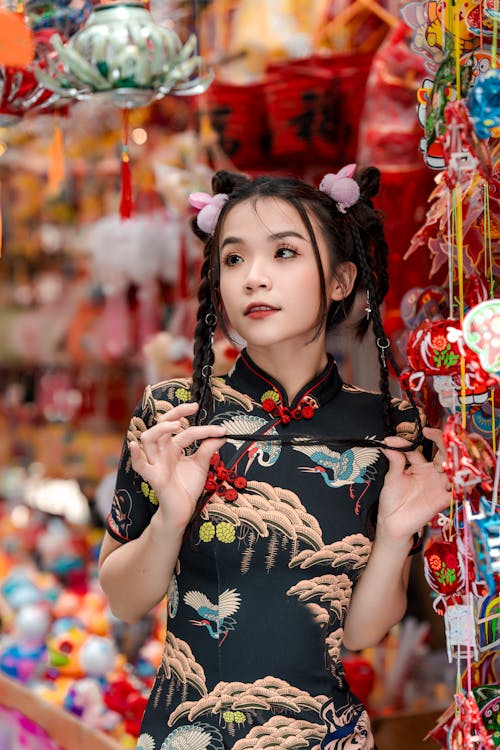 Portrait of a Young Chinese Woman in a Traditional Dress 