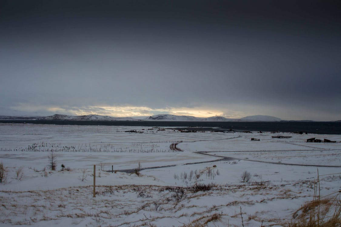 White Field Under Blue Sky