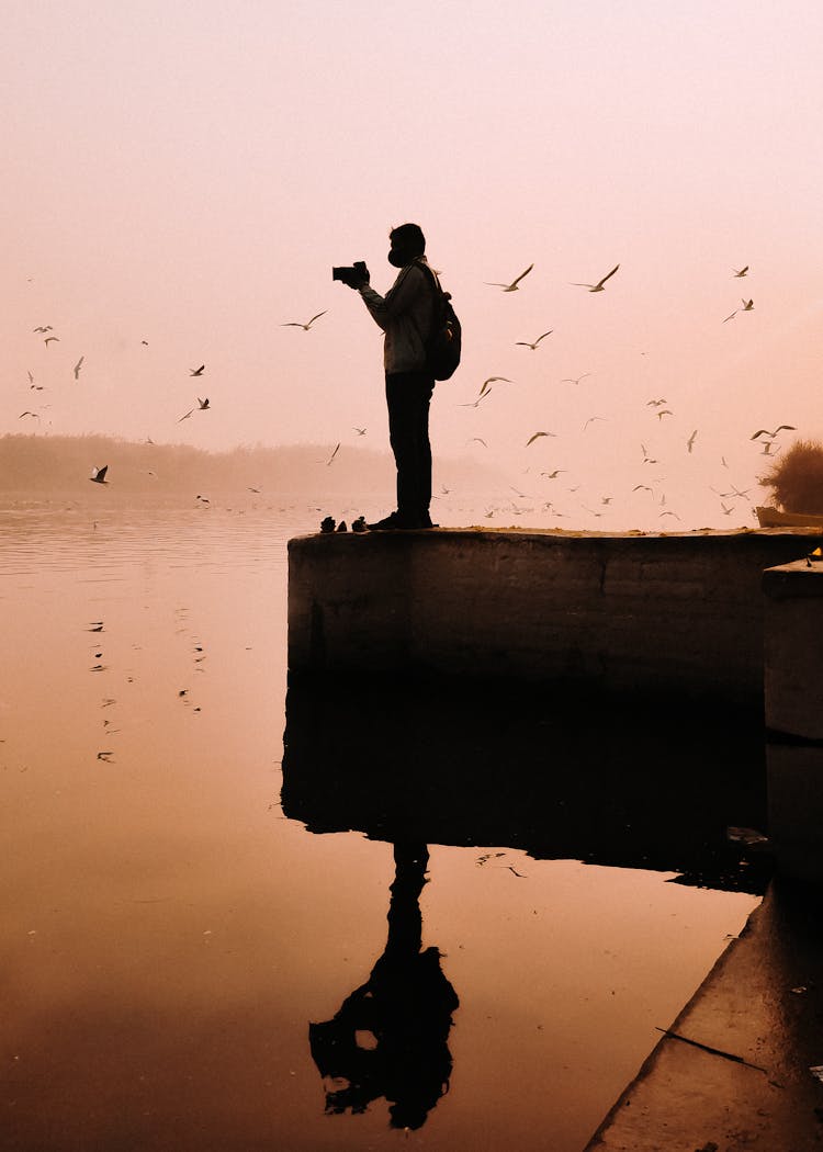 Silhouette Of Man And Birds By Water At Sunset