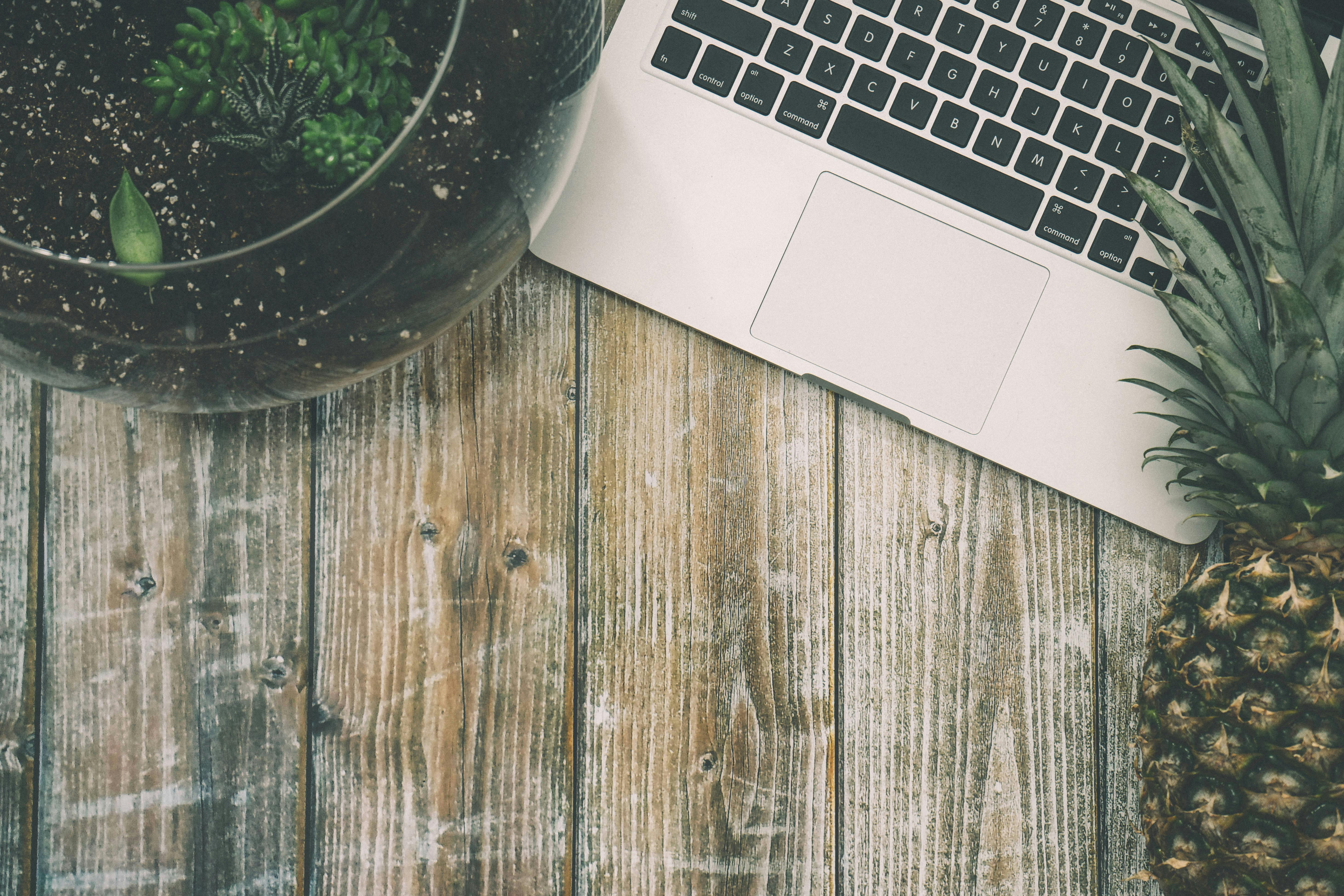 福建省福州公众号策划团队