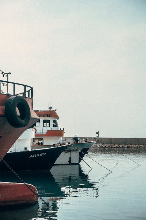 Prows of Ships Anchored in the Harbor