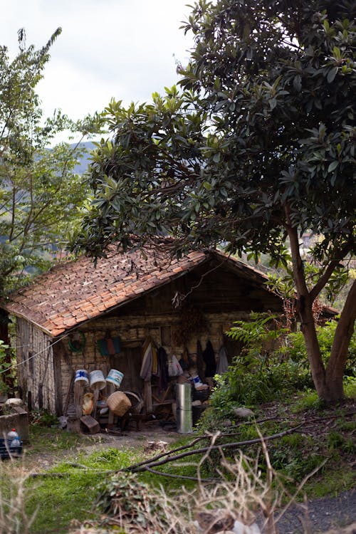 Simple Rustic Hut Made of Stones Hidden Among the Trees