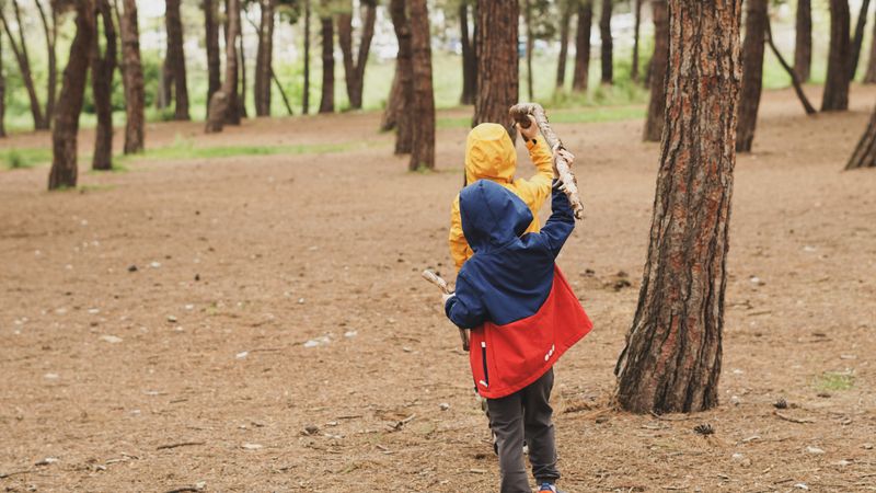 Child exploring a forest with a walking stick