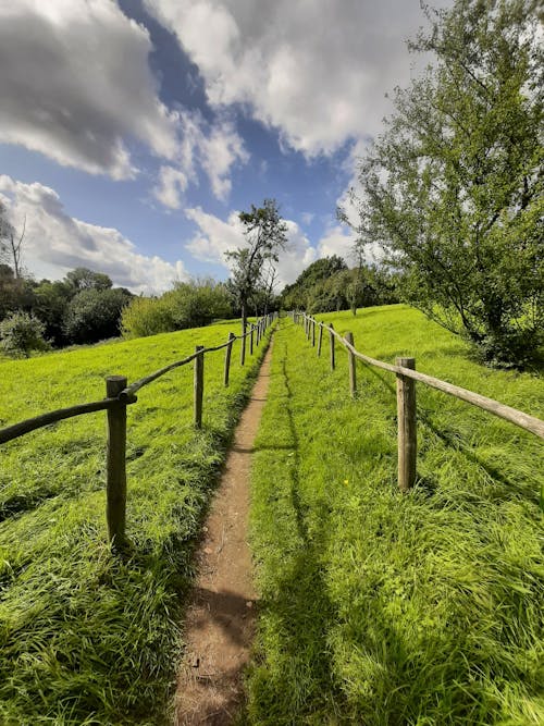 Footpath and Fenced Pasture in a Rural Area