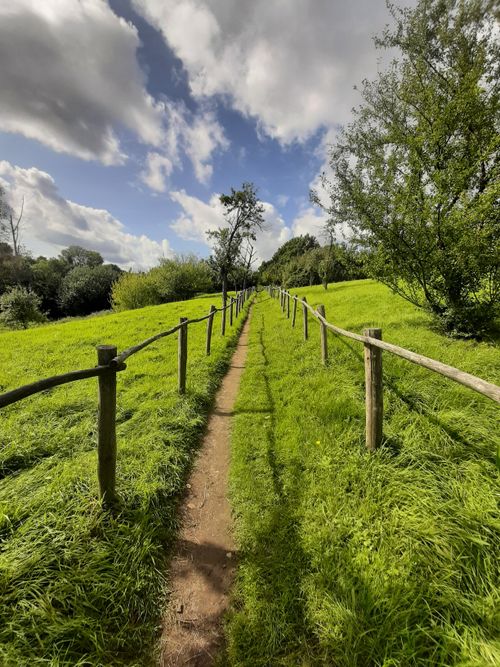 Free Idyllic footpath through a vibrant green meadow with wooden fence under a bright sky in Tongeren, Belgium. Stock Photo