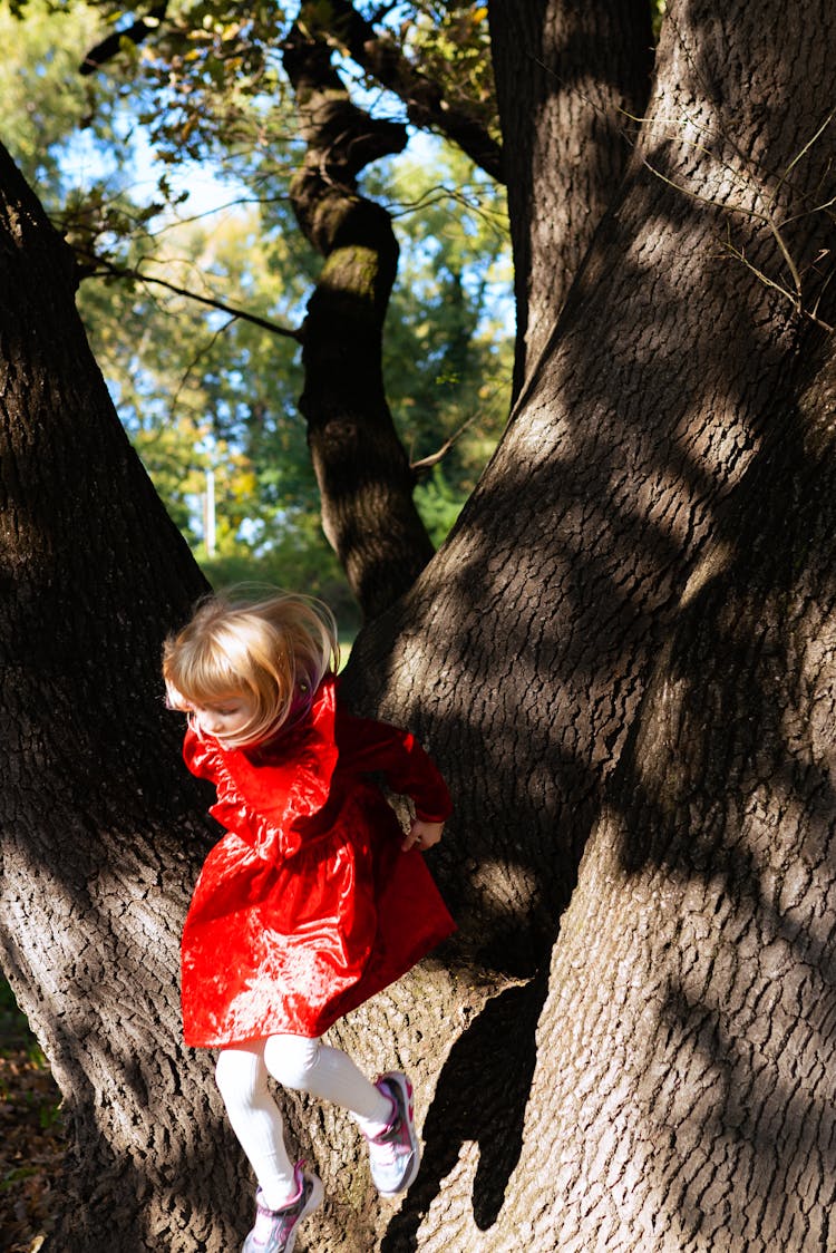 Child Model In Red Dress In Park