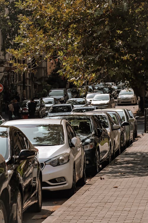 Cars Parked along the Street in City