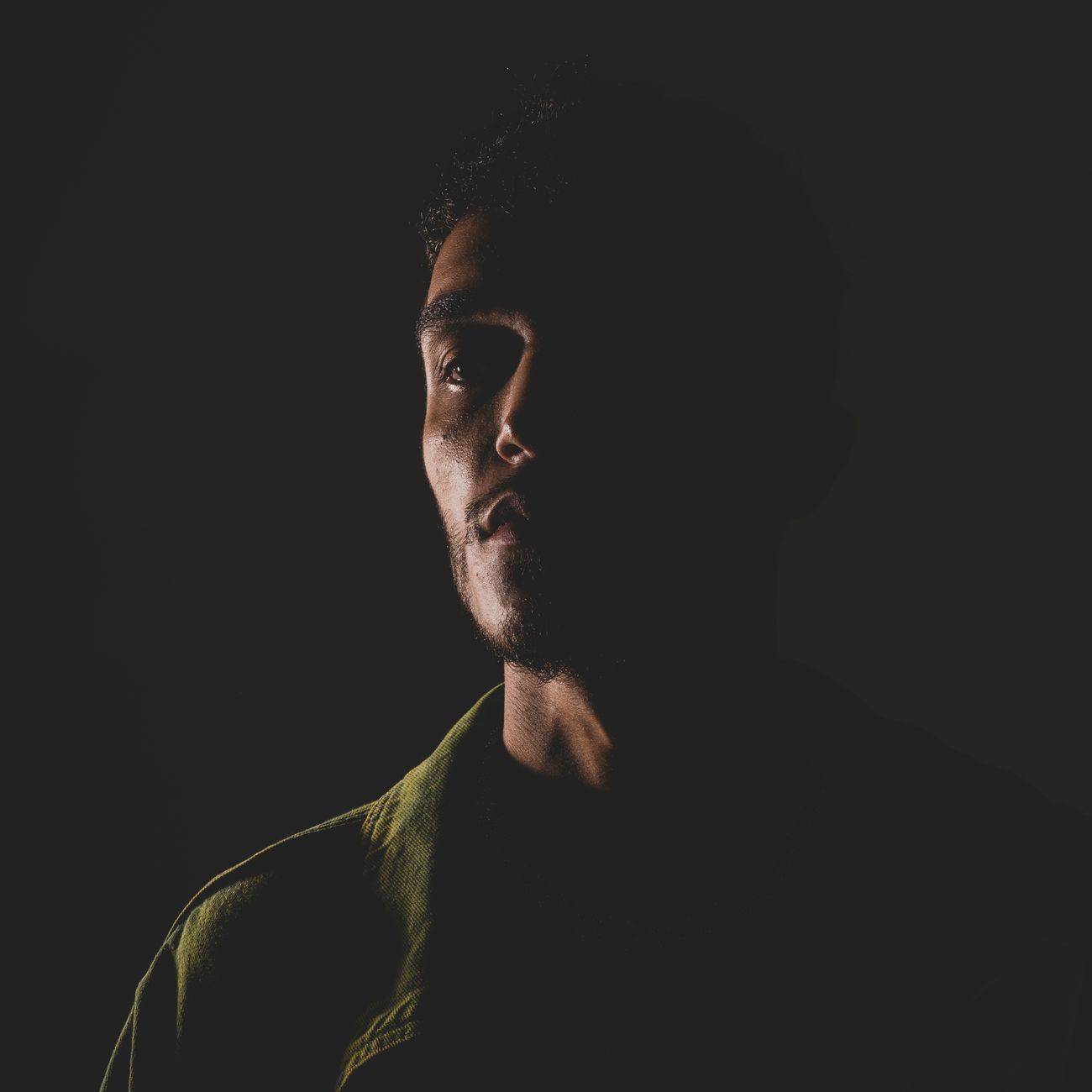Low Contrast Face Features Example What is Low Contrast Photography – Logomakershop Glossary