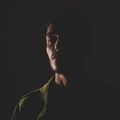 Inside Voice cover art — photo by Yiğit KARAALİOĞLU on Pexels