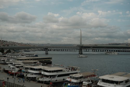 Bridge by a Harbor