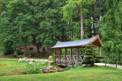 Free Tranquil scene of a wooden bridge in a lush botanical garden surrounded by greenery. Stock Photo