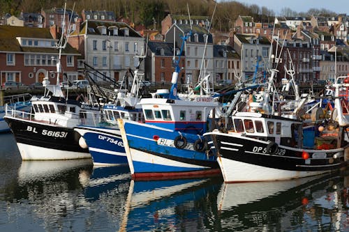 Fishing Boats Moored in Harbor