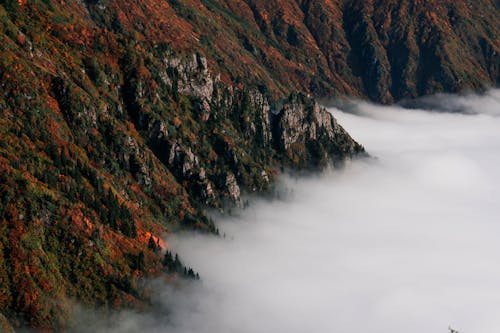 Clouds Covered Valley