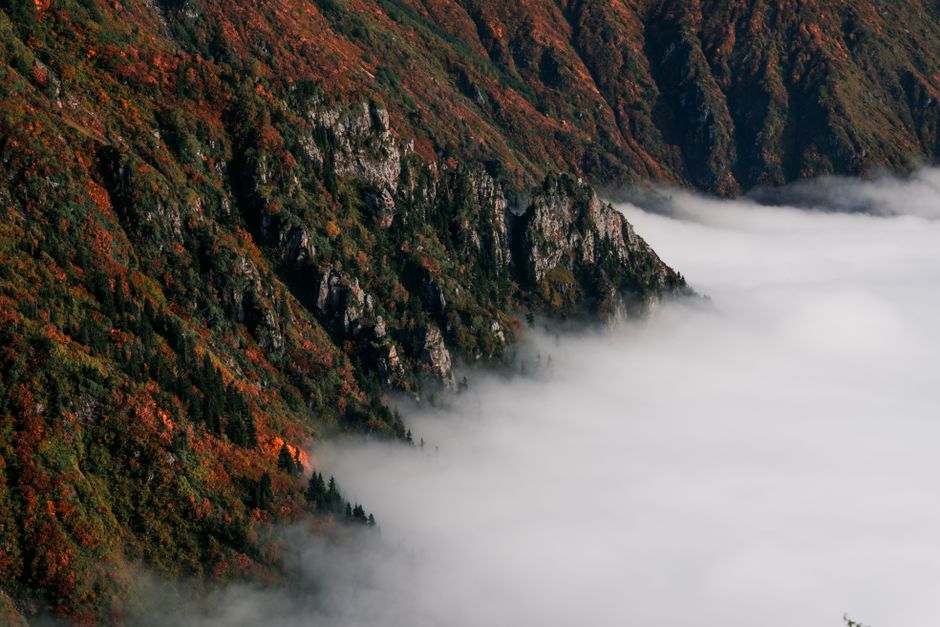Breathtaking view of a mountainside covered in vibrant fall foliage and dense clouds.