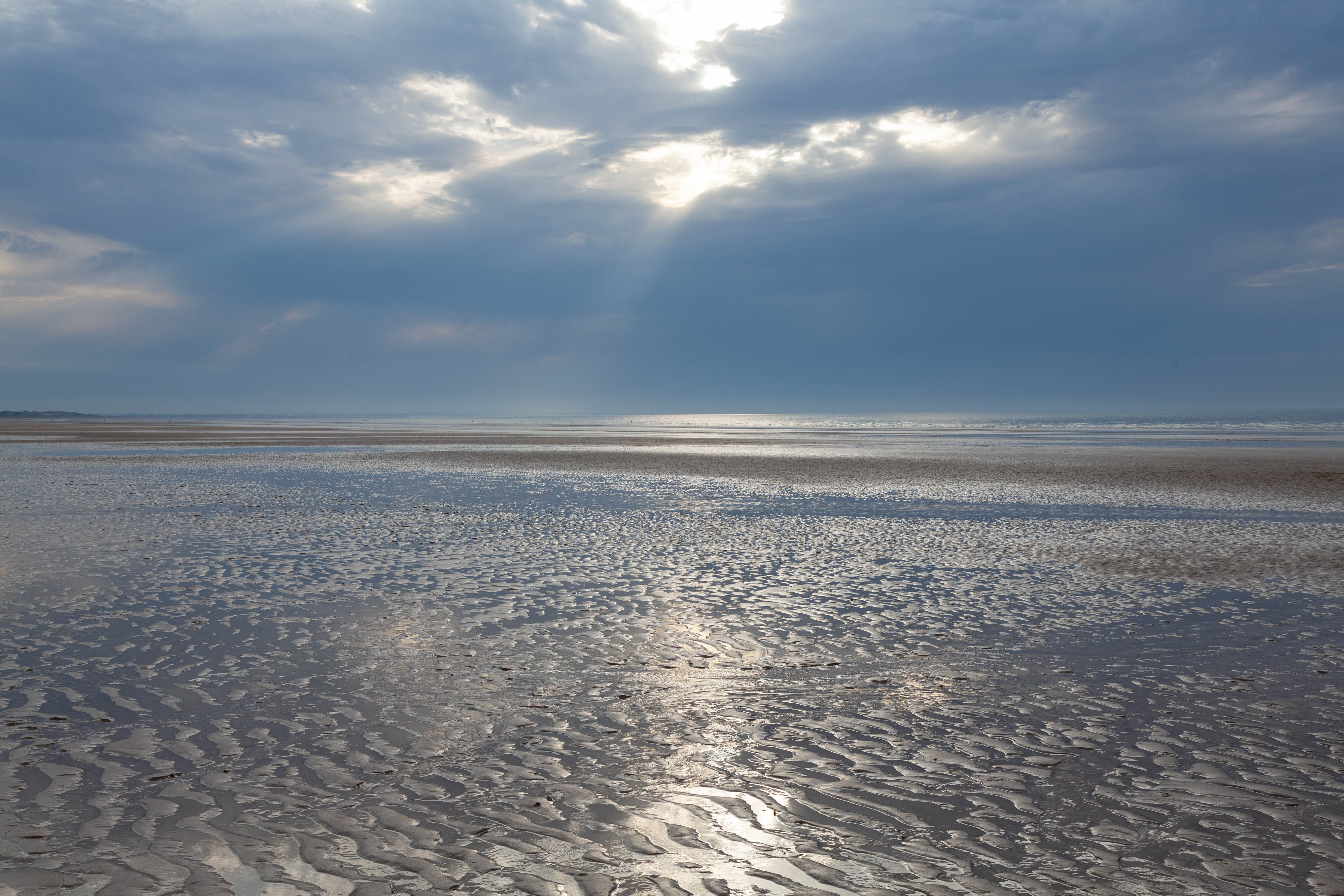 Sunbeams Fall on Wet Beach · Free Stock Photo