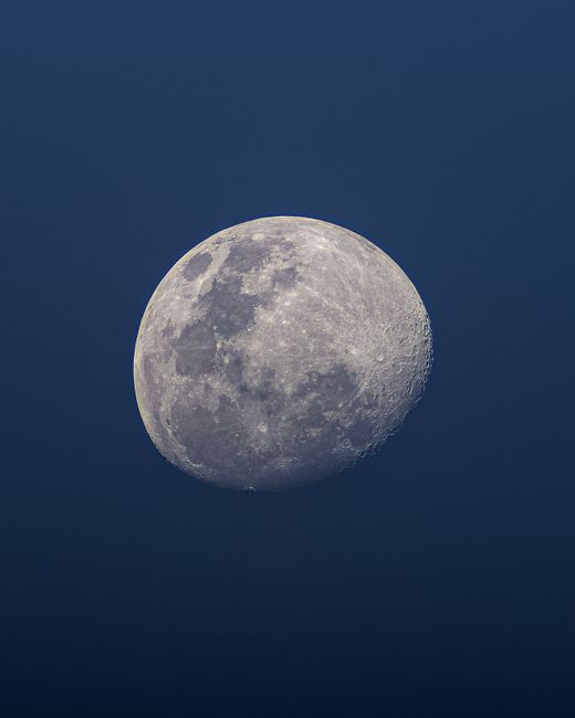 A detailed view of the full moon in the night sky, showcasing its craters and luminous presence.