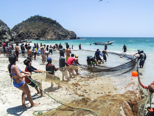 People Towing Net on Sea Shore