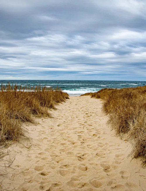 The Ultimate Guide to the Best Provincetown Activities