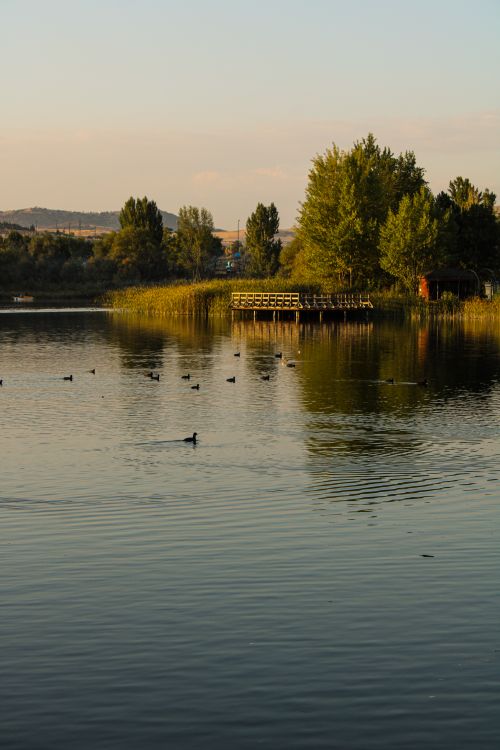 Free Peaceful lake scene in Türkiye at sunset with reflecting waters and surrounding trees. Stock Photo