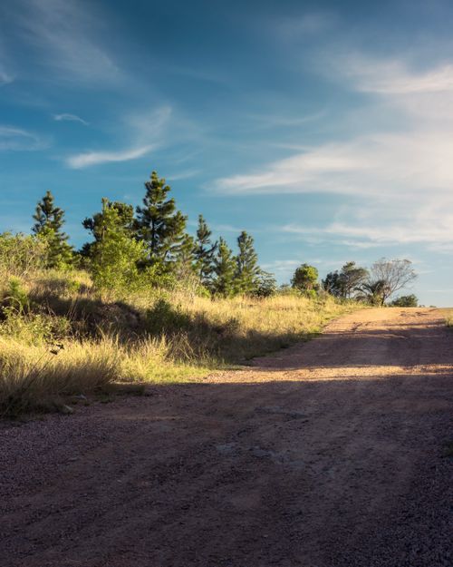 Free Serene rural landscape featuring a dirt road under a bright summer sky. Stock Photo