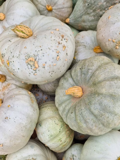 Close up of White Pumpkins