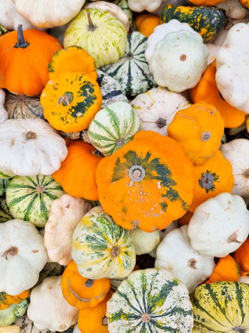 Top View of Colorful Pumpkins