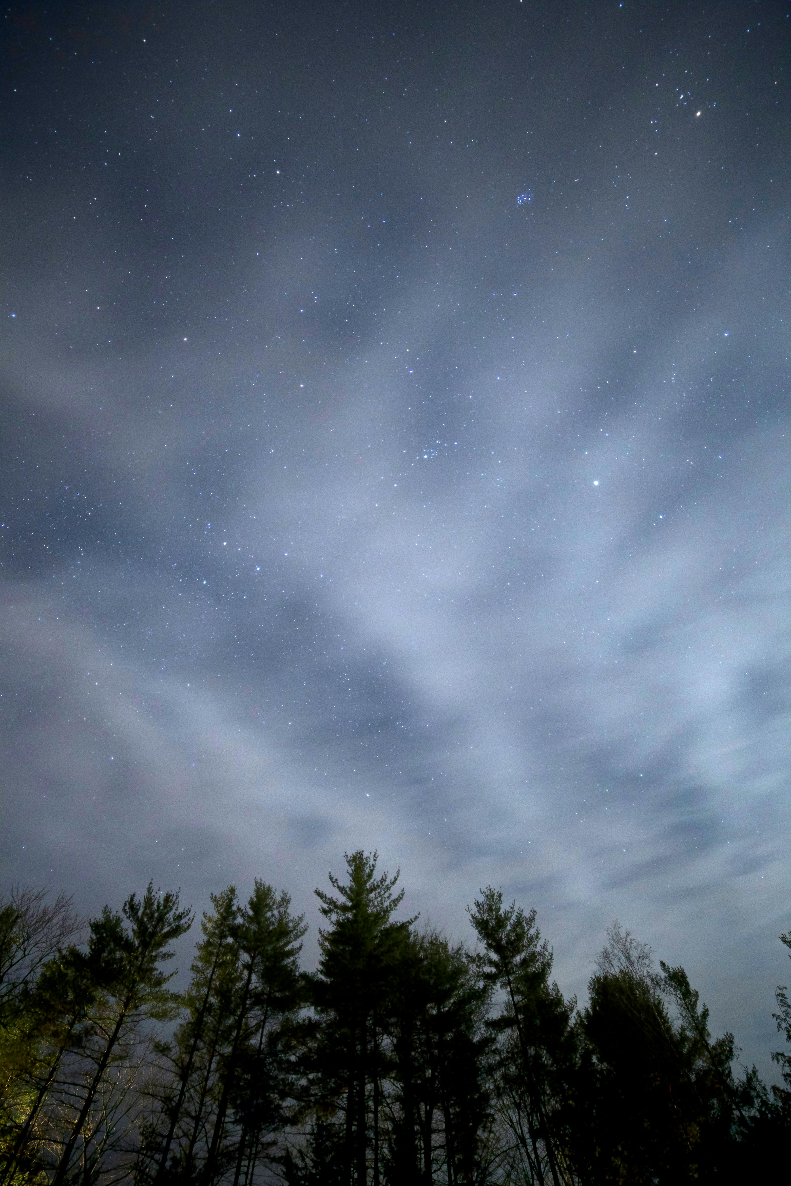 夜空宁静，树木的剪影上点缀着星星和缕缕云