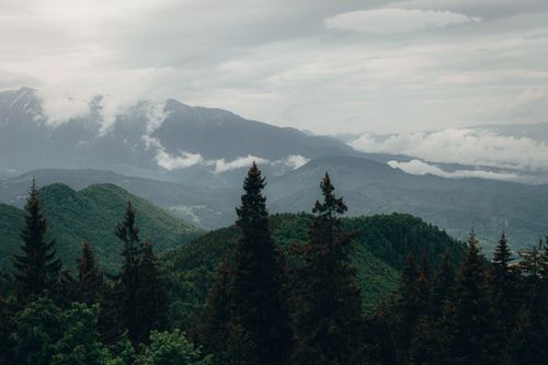 Free A serene view of misty mountains and lush green forests, capturing nature's beauty. Stock Photo