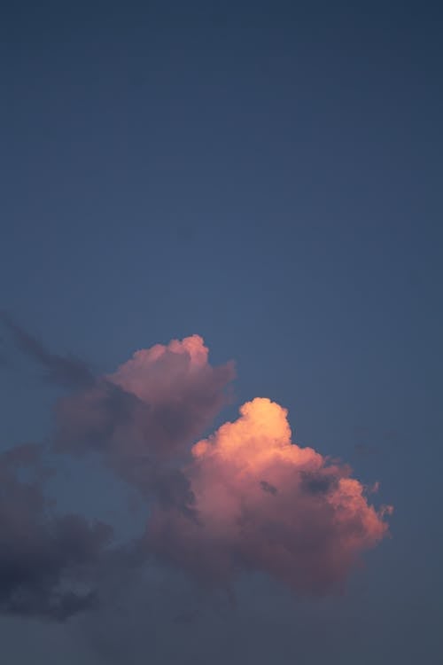 Fotos de stock gratuitas de cielo, foto de ángulo bajo, naturaleza