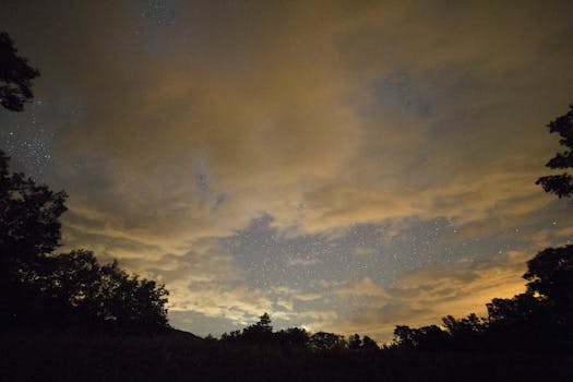 夜空中布满了星星、云朵和树木的轮廓，显得格外戏剧性