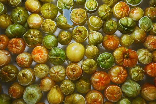 Tomatillo