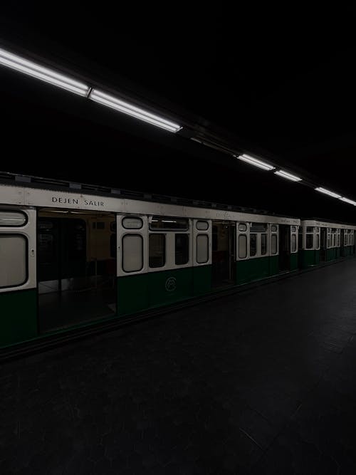Train at the Station in a Tunnel 