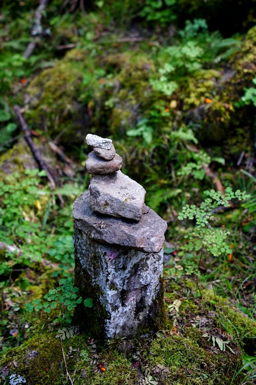 A Small Cairn on the Ground with Moss