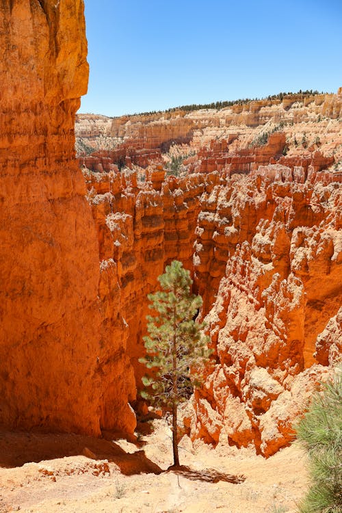 Photos gratuites de cailloux, canon r50, canyon